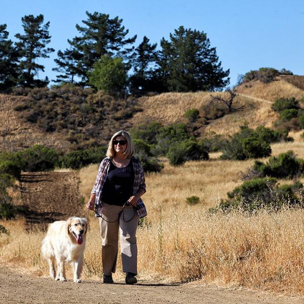 Trails can get warm, make sure to pack some water for your pooch! © Jack Gescheidt dog at Fremont Older Preserve