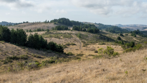 Cloverdale Ranch lookout landscape view of Cloverdale Ranch