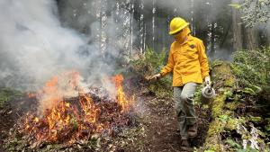 Image of Midpen staff managing a pile burn