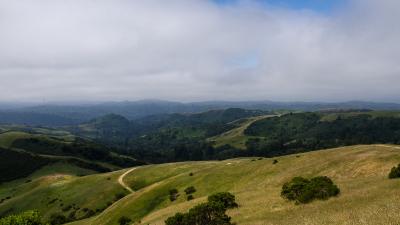 Driscoll Ranch pastures