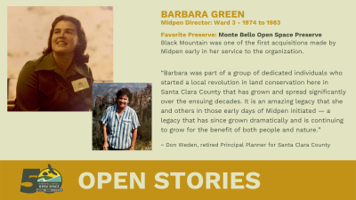 Open Stories - Barbara Green