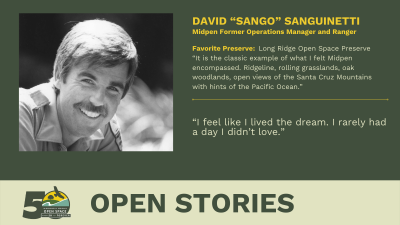 Open Stories - David Sanguinetti
