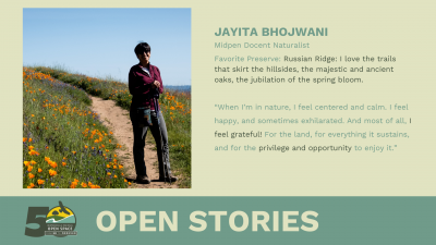Jayita Bhojwani Open Stories