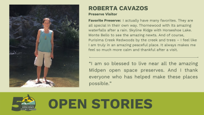 Open Stories - Roberta Cavazos