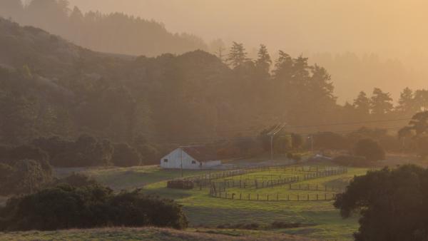 Photo of a barn in La Honda Creek Preserve at sunset