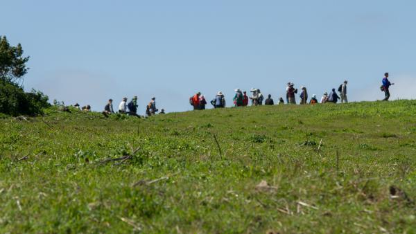 (Rich Jarvis) People hiking on green grass with a background of blue sky