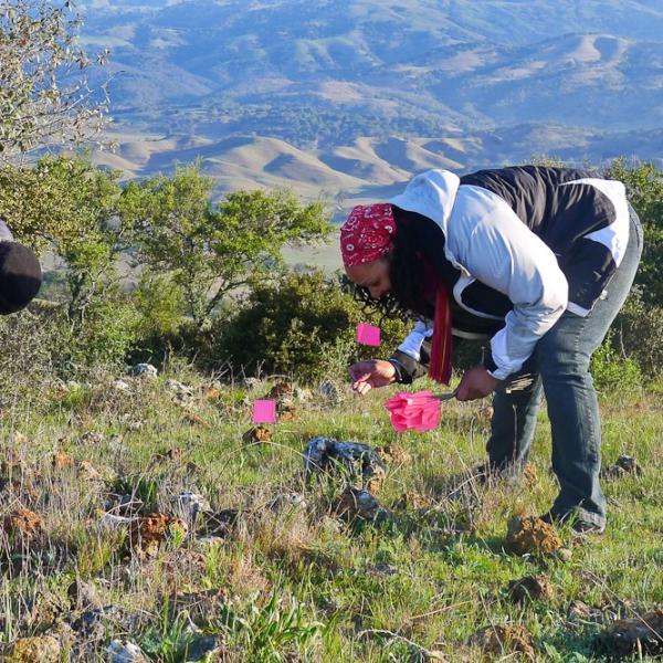 Two members of Creekside Science work on a grassland survey