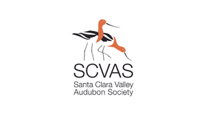 Santa Clara Valley Audubon Society Logo