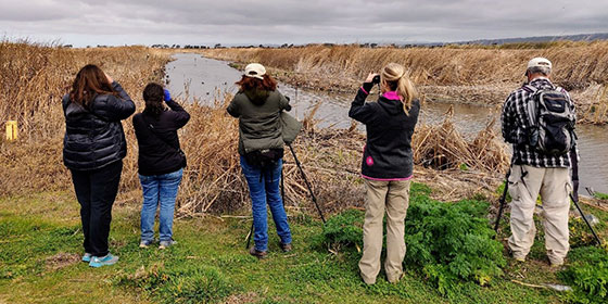 birdwatchers with binoculars along a waterway