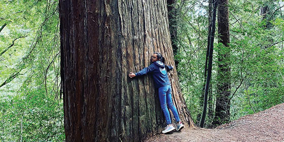 a teenage girl hugging a large redwood tree