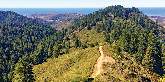 The view from Purisima Creek Redwoods preserve to the Pacific Ocean. © Haley Edmonston