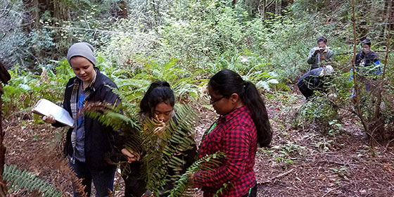 Students studying sword ferns