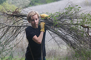 Youth volunteers clearing nonnative brush