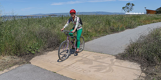 Bicyclist at Ravenswood Open Space Preserve © John Green