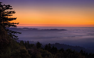 Fog blanketing the hills © Dean Birinyi