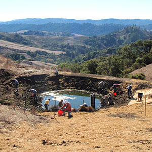 La Honda Creek Open Space Preserve Pond Restoration