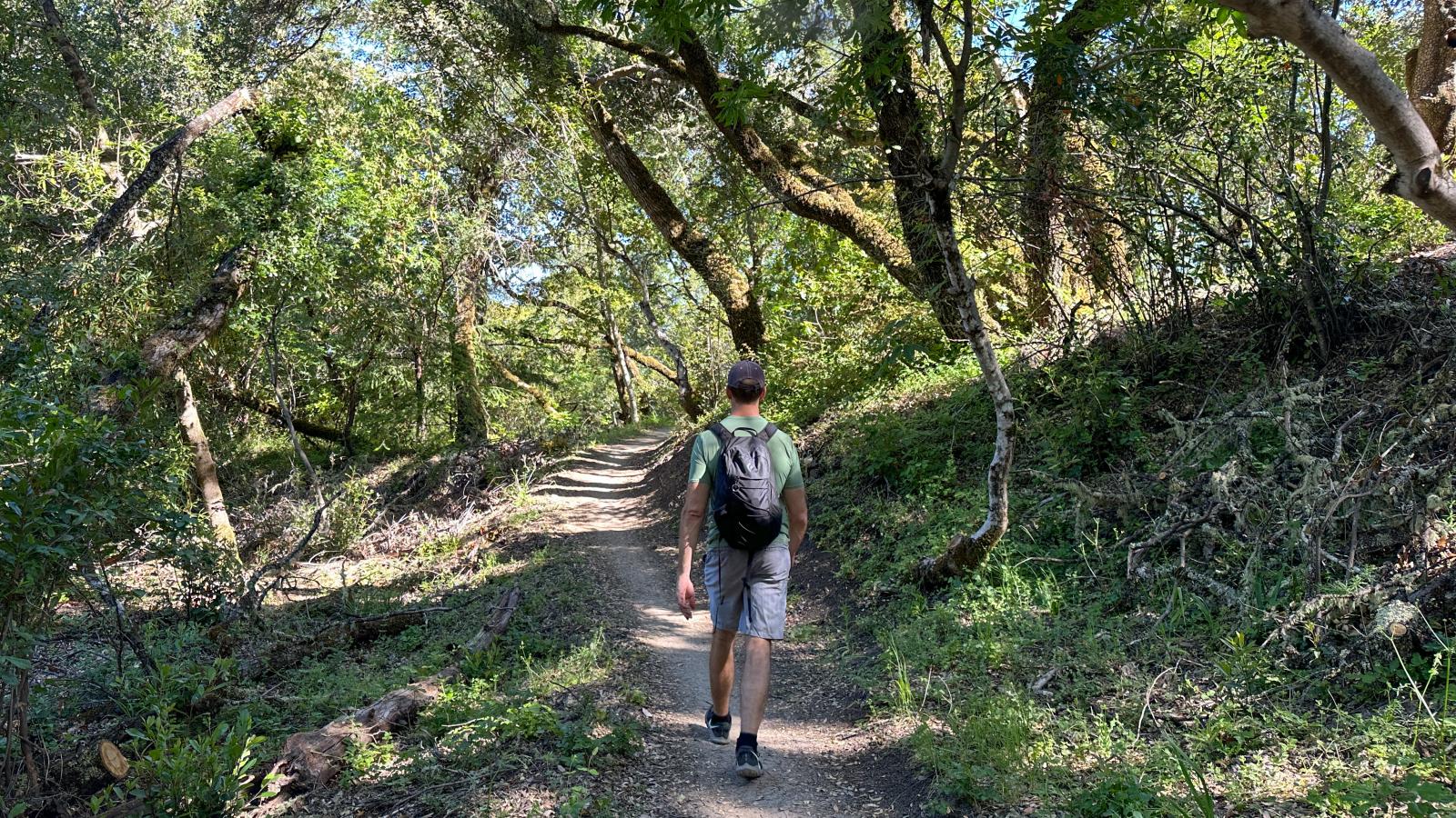Hiker walks along trail