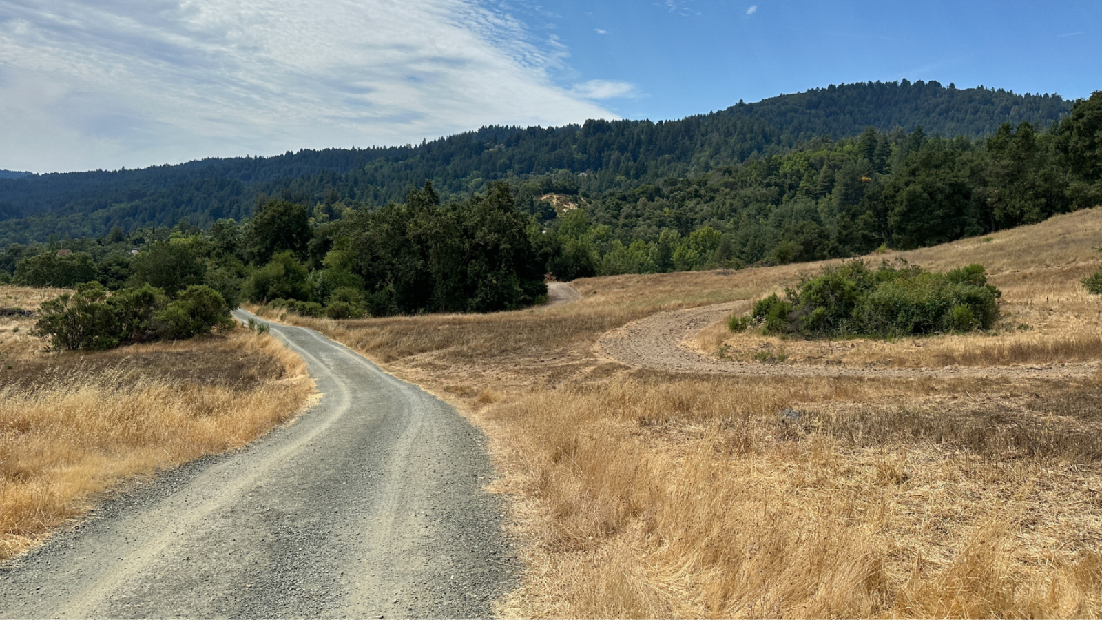 New trail at Bear Creek Redwoods Preserve meanders through dry grassland