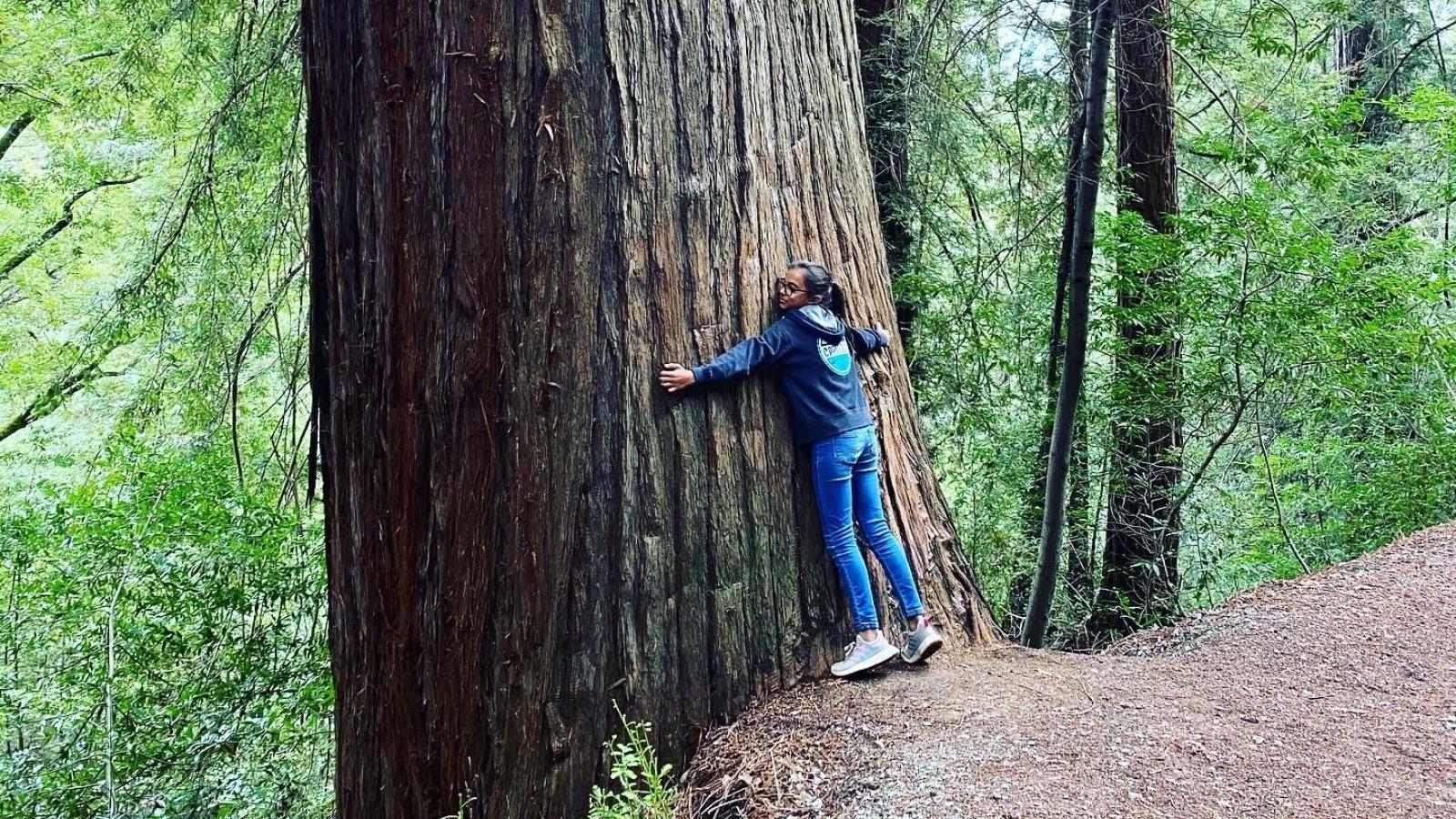 Child hugging redwood tree