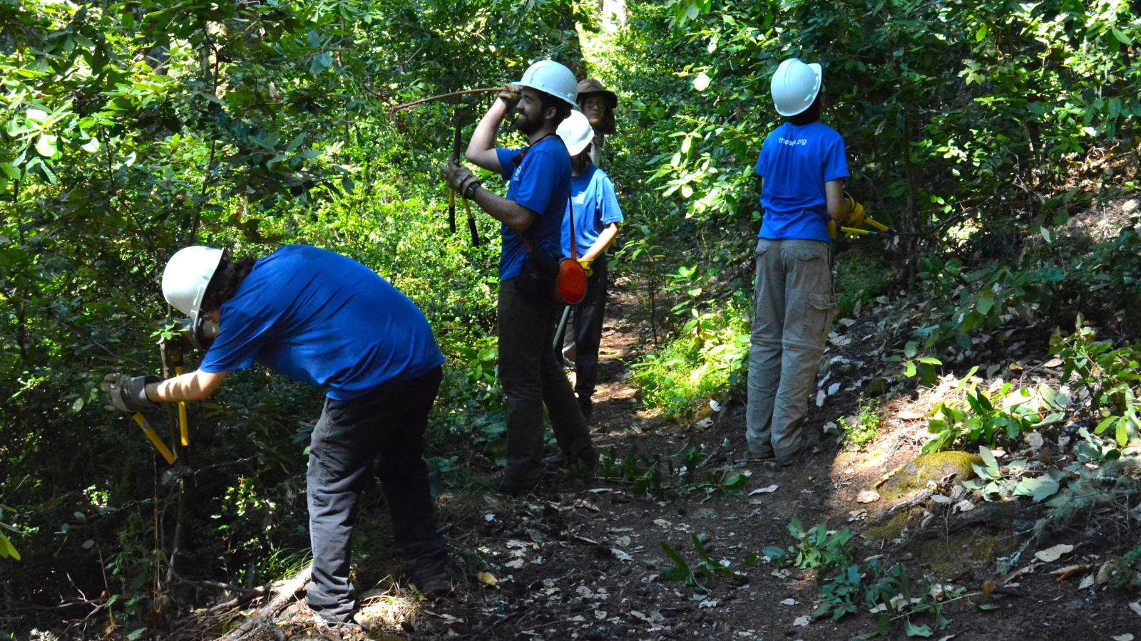 Members of Student Conservation Association conduct trail brushing work in El Corte de Madera Creek Preserve