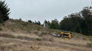 Midpen staff mow coastal grassland being overtaken by brush