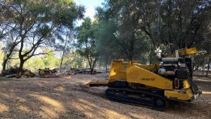 Machinery being used to remove non-native eucalyptus trees