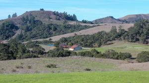 La Honda Creek Preserve. (Frances Freyberg)