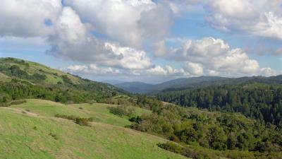 green forested hills