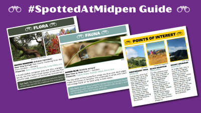 #SpottedAtMidpen Guide
