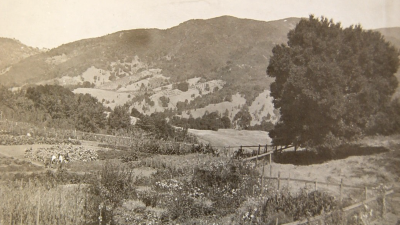 Tevis' vegetable gardens. (Image from the Jesuit Archives and Research Center)