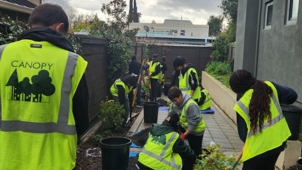 Group of teens planting trees in their community