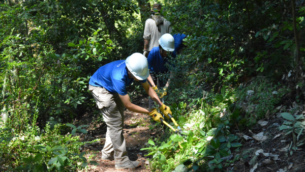 Three students clip overgrown brush under guidance of Midpen open space technician