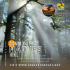 Community Nature Hike, 9AM-1PM, Purisima Creek Redwoods Open Space Preserve