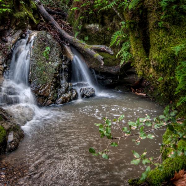 Waterfall at Coal Creek by Dean Birinyi