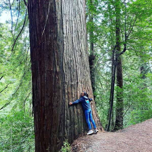 Bear Creek Redwoods Preserve Midpeninsula Regional Open Space