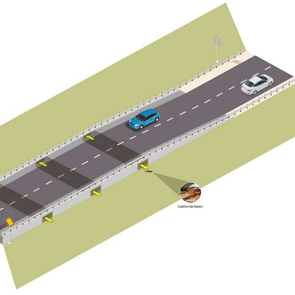 Newt wildlife crossing diagram (not to scale)