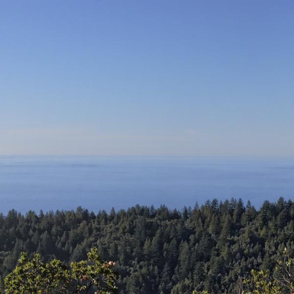 View to the Pacific Ocean from El Corte de Madera Creek Preserve. (Ken Lunders)