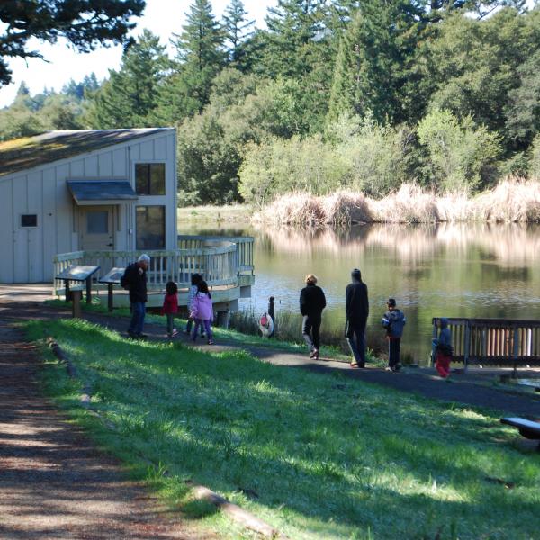 kids on a walk next to a pond