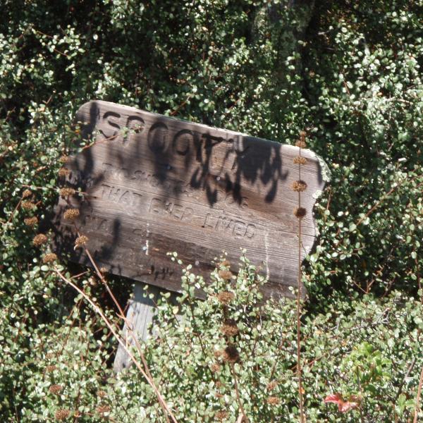 A memorial honoring a pet named Spooky.