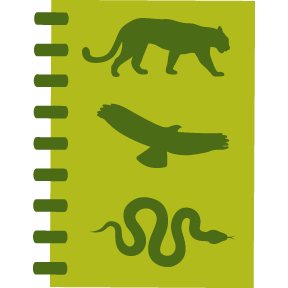 illustration of a notebook with images of animals on cover
