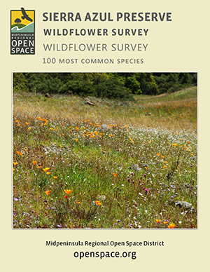 Sierra Azul Wildflower Guide Front Page